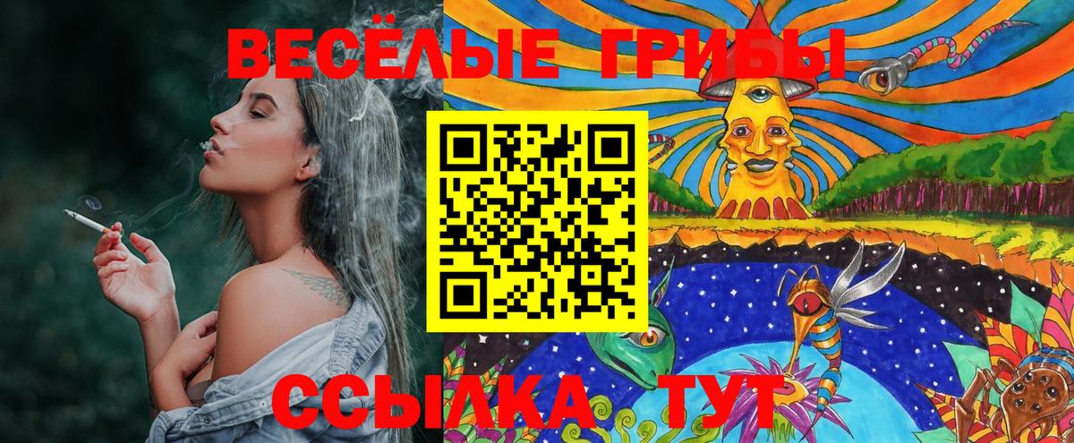 Псилоцибиновые грибы Magic Shrooms Елабуга