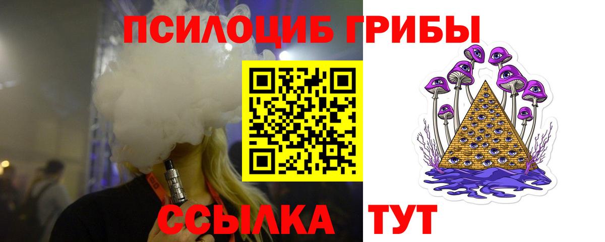 Псилоцибиновые грибы Cubensis  хочу наркоту  Елабуга  Вход с VPN 